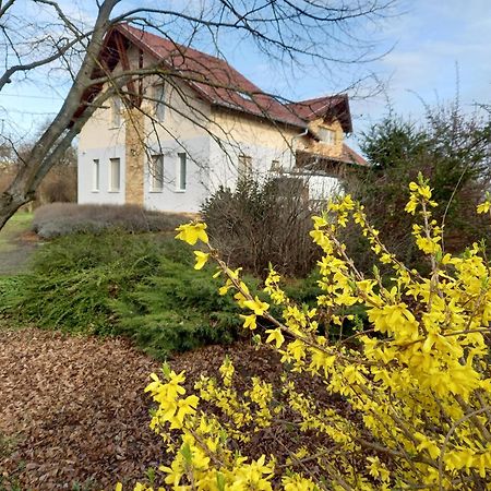 Horpacsi Europa Piheno Koezpont Hotel Buitenkant foto