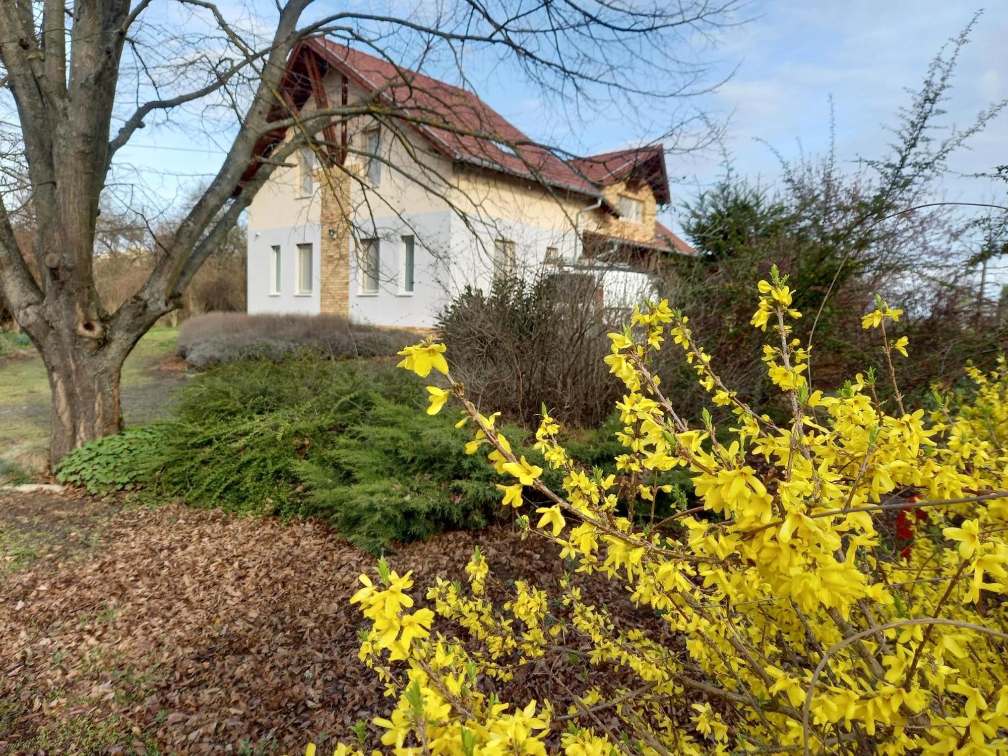 Horpacsi Europa Piheno Koezpont Hotel Buitenkant foto